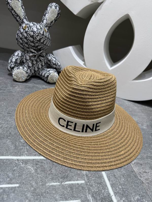 Celine top hat dx162